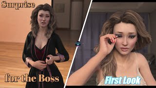 Vn Game Surprise For The Boss First Look
