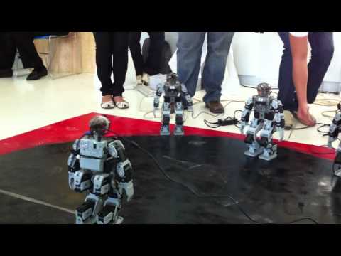 pelea-de-robots