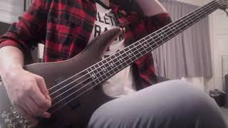 TOOL - Vicarious (bass cover)