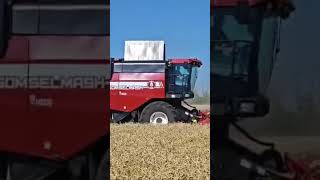 GS2124 лучший в своём классе  💪💪💪 оф.дилер в ЮФО ПАЛЕССЕ-ЮГ, ГОМСЕЛЬМАШ