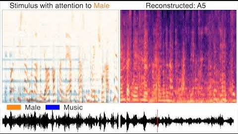 S11 Movie. Reconstructed sounds under selective auditory attention tasks using individual ROIs.
