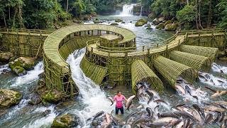 Beautiful Woman Uses a Special Skill to Harvest Tons of Fish and Sell Them at the Market