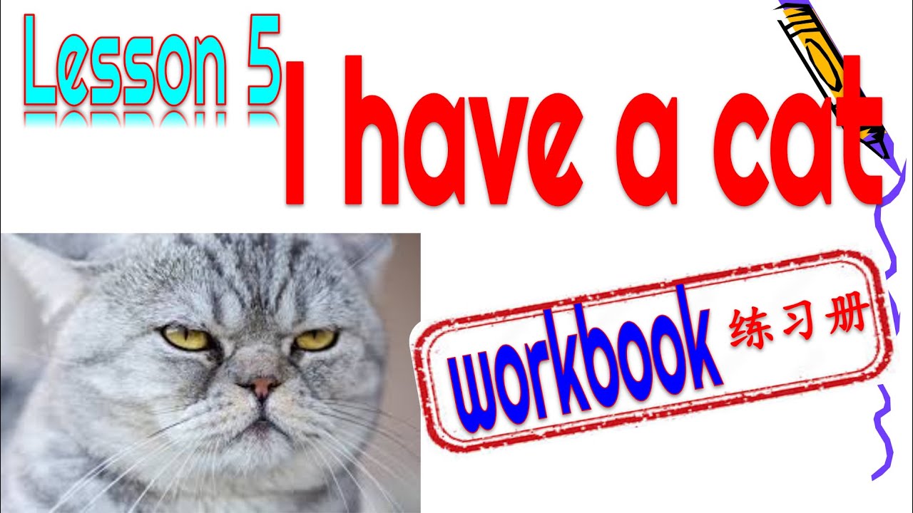🐱WORKBOOK |Kuaile hanyu 1 Lesson 5 I have a cat 快乐汉语 练习册第一册 第五课 我有一只猫