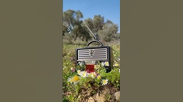 تلاوة فوق الوصف💙 للشيخ عبد الباسط عبد الصمد رحمه الله