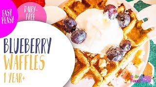 How to Make Dairy Free Blueberry Waffles for Toddlers