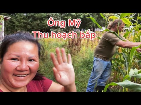 Vietnamese: Vietnamese Life ￼Rural life in America ￼Mr. My ￼ ￼￼in the garden Drawing Corn ￼￼