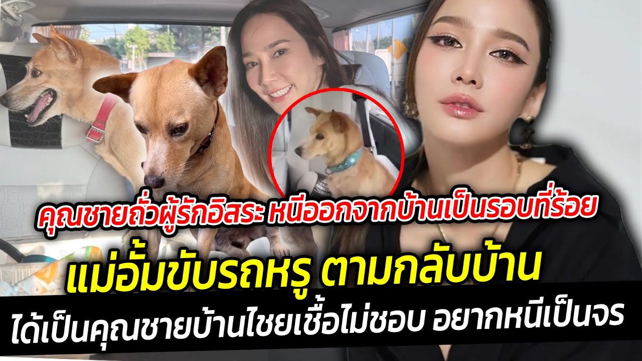 คุณชายถั่ว หนีออกจากบ้านรอบที่ร้อย อั้ม พัชราภา รีบอุ้มขึ้นรถหรูพากลับนี่มันคุณชายบ้านไชยเชื้อชัดๆ