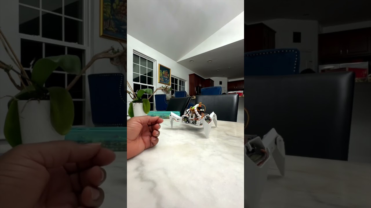 Building an AI Robot PI Crawler (STEM Technology)