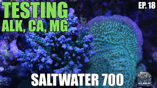 TESTING Reef Tank Parameters (CA, ALK, MG)  Saltwater 700