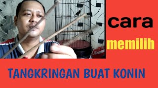 Tips memilih tangkringan burung Kolibri ninja