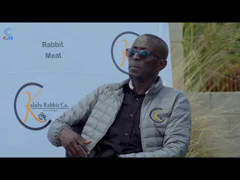 Agriculture On Cite Phillip Phiri Rabbit Breeder Kalulu Meat Co