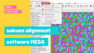 Tutorial | Alignment (Penjajaran) Sekuen DNA dengan Menggunakan Software MEGA X