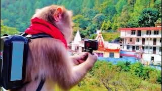 3655387389381259487 75158878296