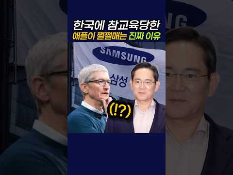 한국에 참교육당한 애플이 쩔쩔매는 진짜 이유 #애플 #이재명 #삼성전자 thumbnail