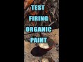 Pottery - Testing Organic Paint