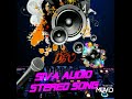 Siva audio stereo 