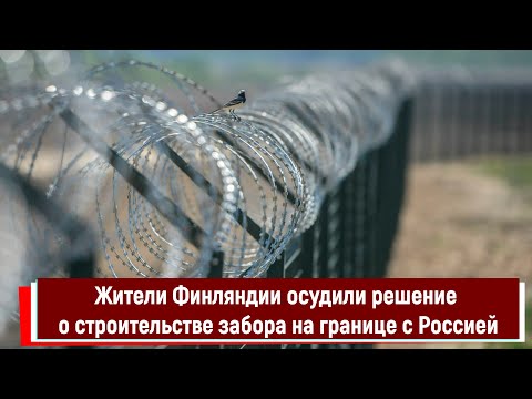 Жители Финляндии осудили решение о строительстве забора на границе с Россией