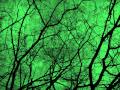 Type O Negative - Creepy Green Light - Subtitulos español