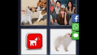 4 Pics 1 Word  - Level 3633 [HD] (iphone, Android, iOS)