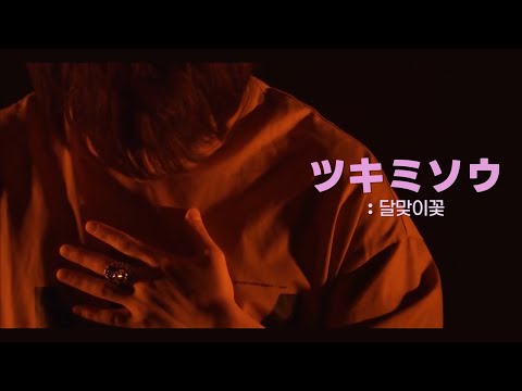 Novelbright ツキミソウ 달맞이꽃 LIVE 한글자막 일본어발음 Lyrics