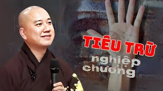 SÁM NIỆM Trước Khi Ngủ Giúp Tiêu Trừ Nghiệp Chướng Thay Đổi Vận Mệnh | Thầy Thích Pháp Hòa