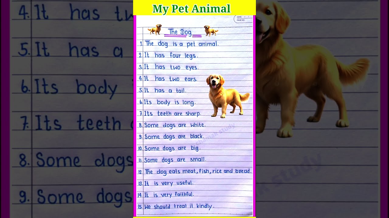 10 Lines On Dog Essay Shorts