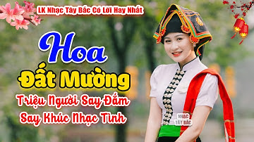 Khúc Hát Ngọt Ngào Triệu Con Tim Nghe Say Đắm | LK Nhạc Tây Bắc Hay Nhất 2024 | HOA ĐẤT MƯỜNG