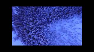 Alan Parsons - Return to Tunguska [feat. Shpongle & David Gilmour] (Music video)