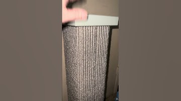 Review of the Best Cat Scratching Post
