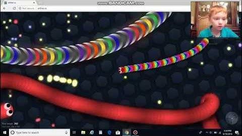 rainbow snake