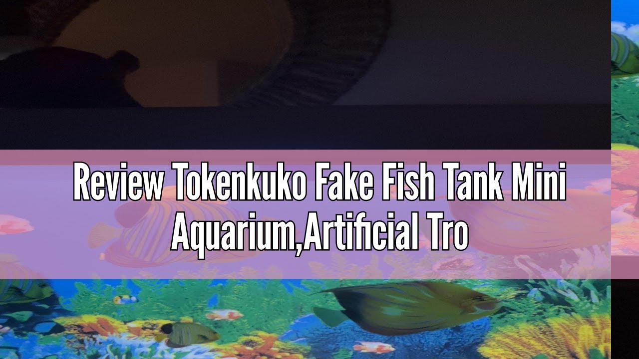 Review Tokenkuko Fake Fish Tank Mini Aquarium,Artificial Tropical Fish ...