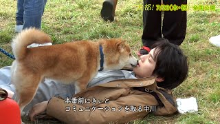 中川大志もすっかり仲良しに！見事な演技を披露する犬たちのメイキング映像　「犬部！メイキング 犬たちの名演篇」完パケ