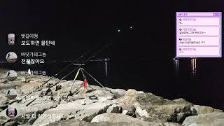 시화방조제 밤낚 짬낚 출발 합니다# 원투낚시#짬낚시 시작합니다