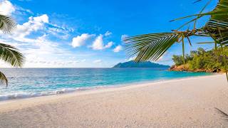🏝 Beach View: 12 Hours of Seychelles Ambience & Soft Ocean Sounds screenshot 2