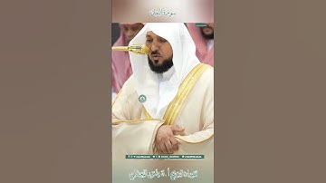 تلاوة خاشعة 🕊 سورة النمل 🌿  الشيخ أ.د ماهر بن حمد المعيقلي