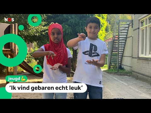 Video: Welk Gebaar Betekent Het?