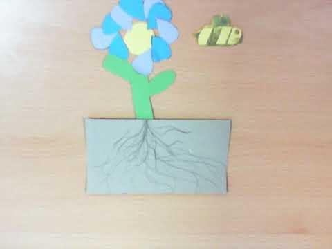 primarygames 5VW - Plant Life Cycle Animation 1
