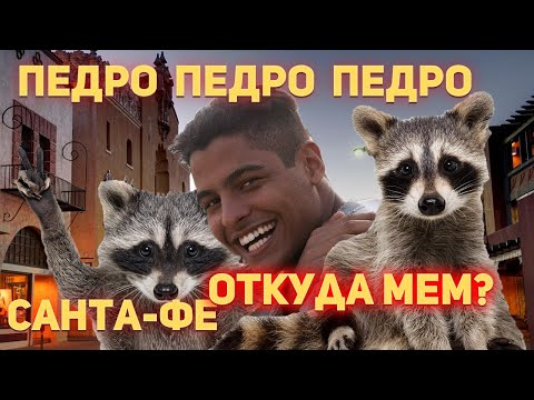 Педро Педро Педро Енот - Откуда Мем