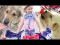 Приют для бездомных животных Сириус.  Saving cats & dogs