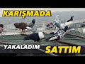 Karışmada yakaladığım kaçak kuşları yolladım ! Nazara geldim