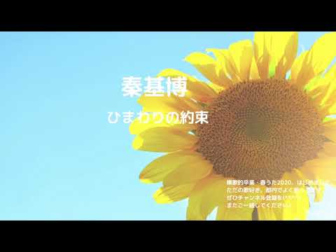 秦基博 ひまわりの約束　【横歌】卒業ソング・春うた・桜曲　2020年（令和2年）