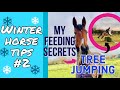 MY WINTER TIPS #2 | What I feed my horse & more... | Footluce Eventing