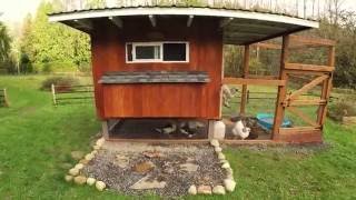 Here is my Chicken Coop that was finished about 2 months ago. This is to give you a design for a chicken coop you may be building! 