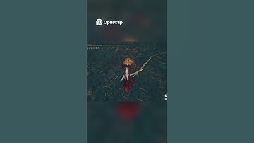 Elden Ring PS5: A hack or a Bug ??