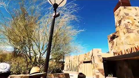 Palm Springs 2021 Spring Break, Joshua Tree National Park, The Living Desert Zoo