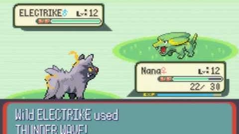 Pokemon Ruby: Part 13 "South Route 110" (with Hector)