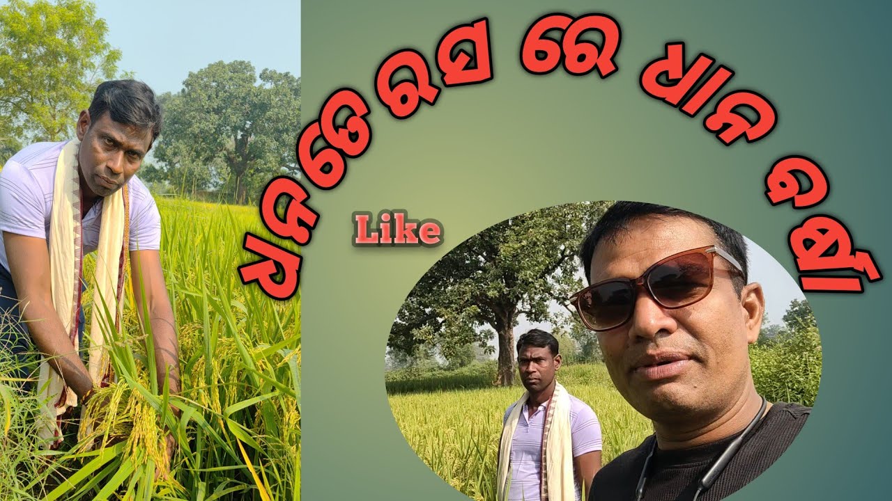 The Festival of Wealth: A Celebration of Abundance & Prosperity