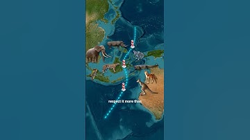 Why Animals Don’t Cross This Invisible Line? 🐘❌🦘The Mystery of Wallace’s Line.