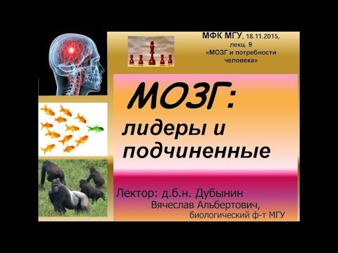 Видео: Глава. Видове лидери и видове подчинени