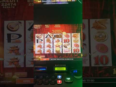 Para los que viven la emoción en todos lados | NetBet Casino
